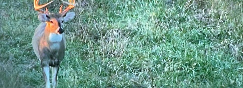 Farm Property for sale in Pope County, Illinois