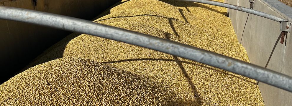 Farm Property for sale in Pope County, Illinois