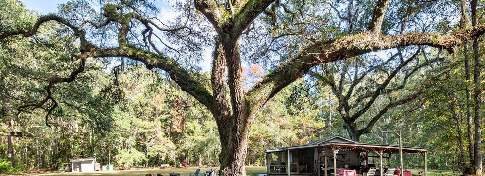 Undeveloped Land for sale in Charleston County, South Carolina
