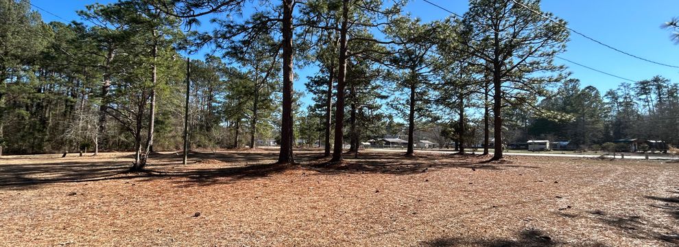 Property for sale in Dillon County, South Carolina