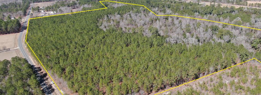 Timberland Property for sale in Bladen County, North Carolina