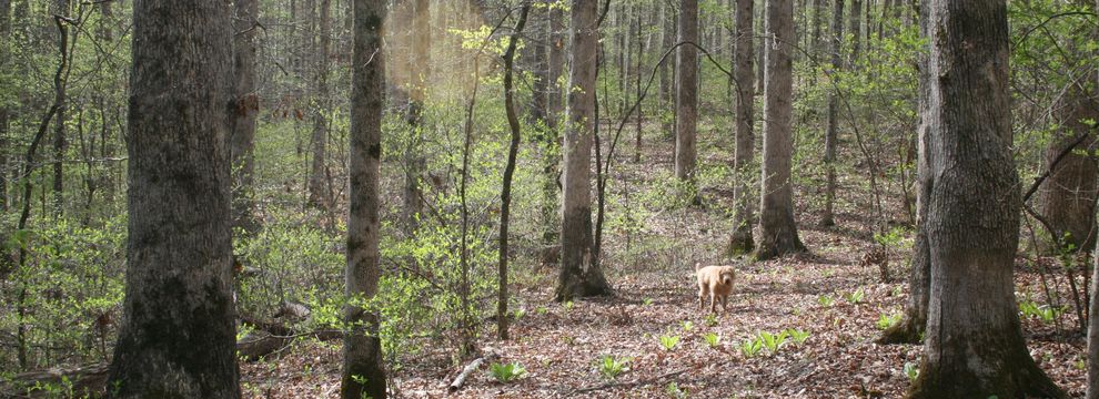 Recreational Property for sale in Williamson County, Tennessee