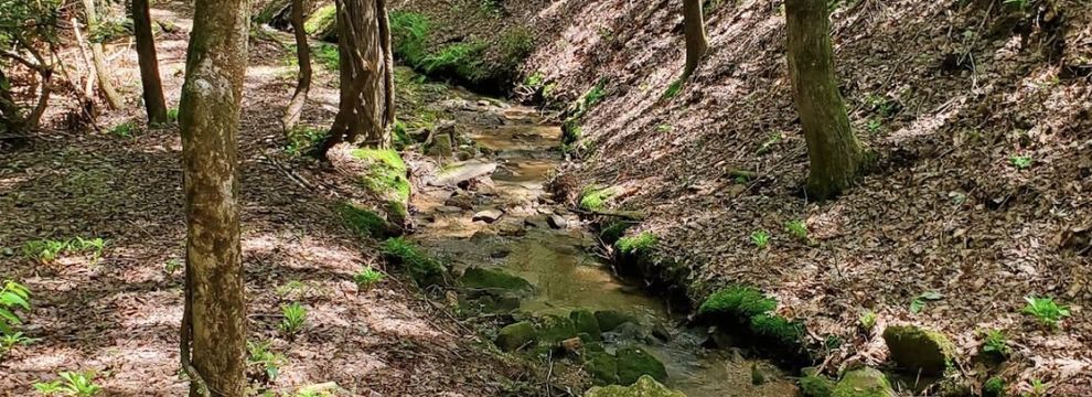 Property for sale in Rutherford County, North Carolina