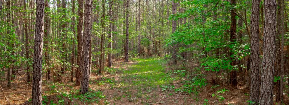 Farm Property for sale in Saluda County, South Carolina