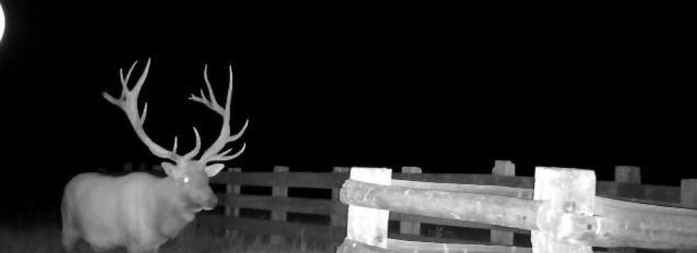 Farm Property for sale in Yellowstone County, Montana
