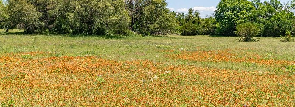 Farm Property for sale in Parker County, Texas