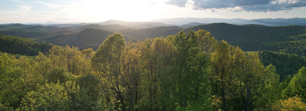 Ranch Property for sale in Henderson County, North Carolina