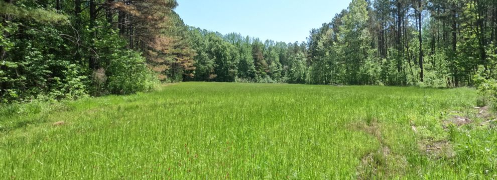 Farm Property for sale in Alcorn County, Mississippi
