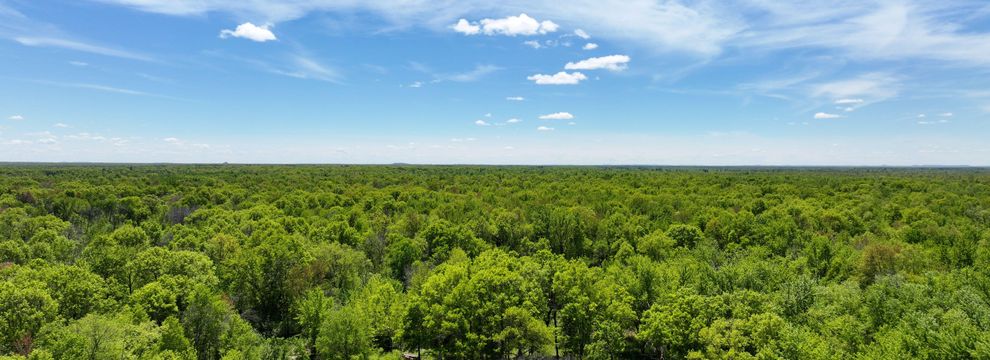 Property for sale in Juneau County, Wisconsin