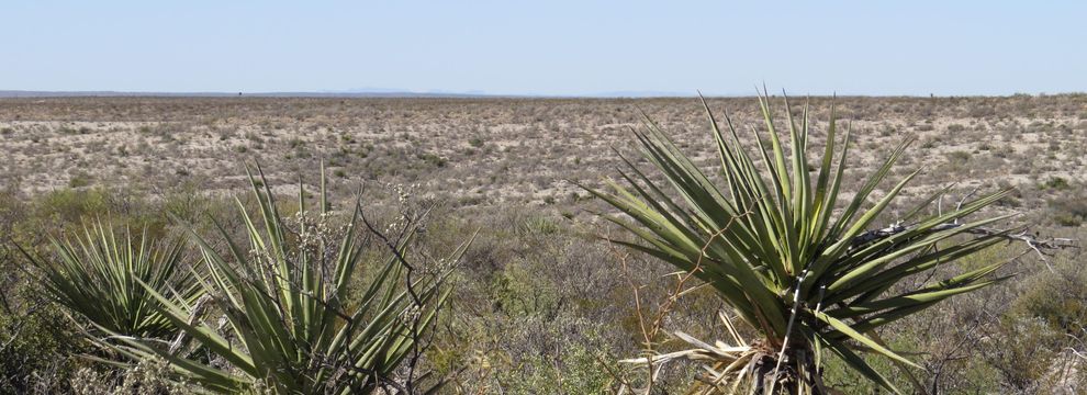 Residential Property for sale in Terrell County, Texas