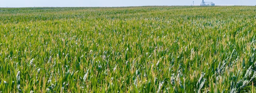 Farm Property for sale in Red River County, Texas