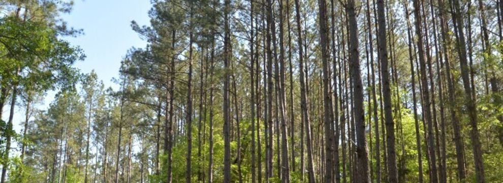 Farm Property for sale in Chester County, South Carolina