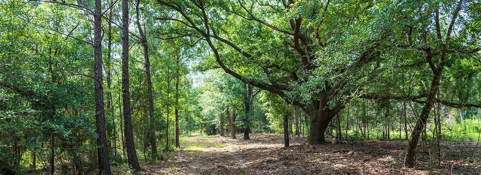 Recreational Property for sale in Jackson County, Florida