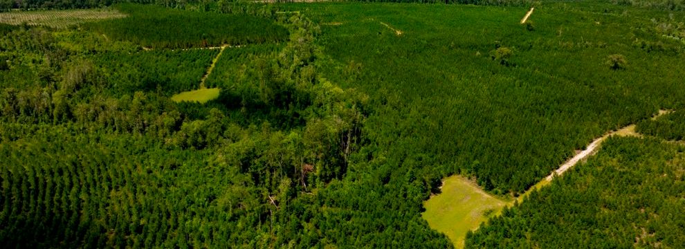 Property for sale in Effingham County, Georgia