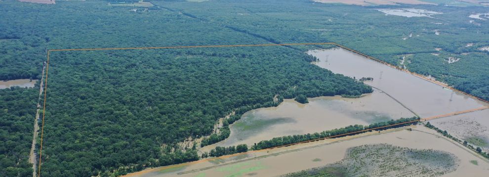 Property for sale in Monroe County, Arkansas