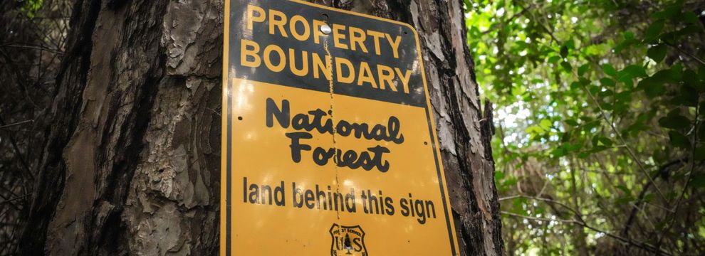Farm Property for sale in Houston County, Texas