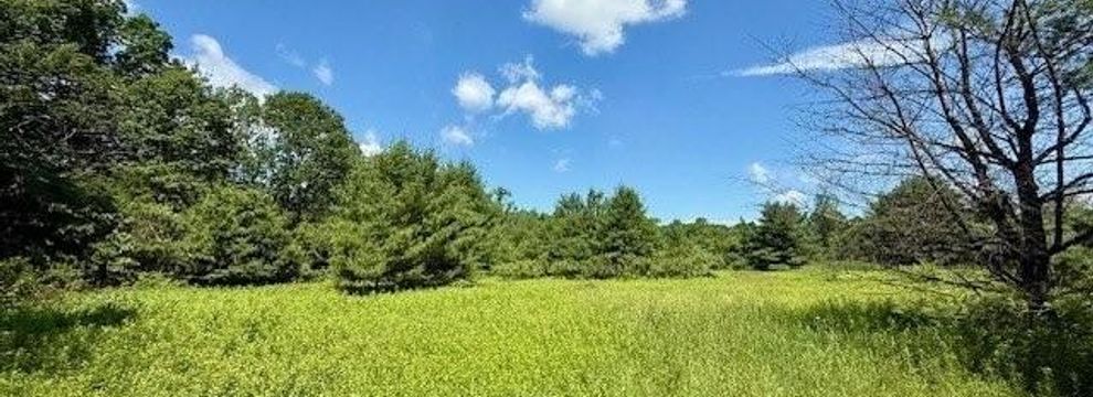 Ranch Property for sale in Greene County, New York