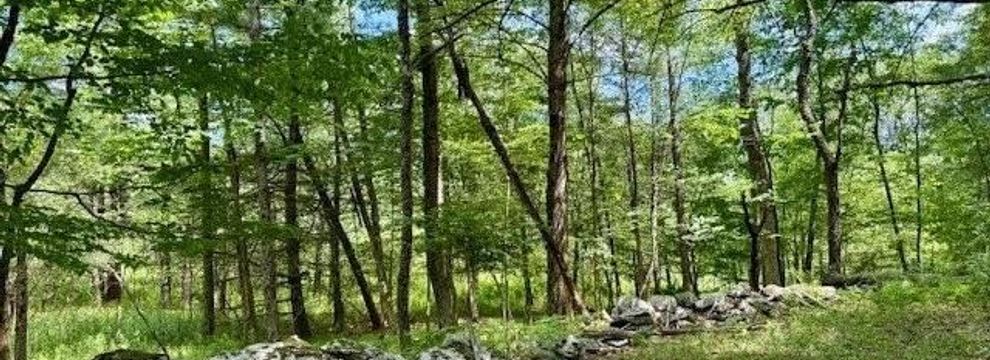 Recreational Property for sale in Greene County, New York