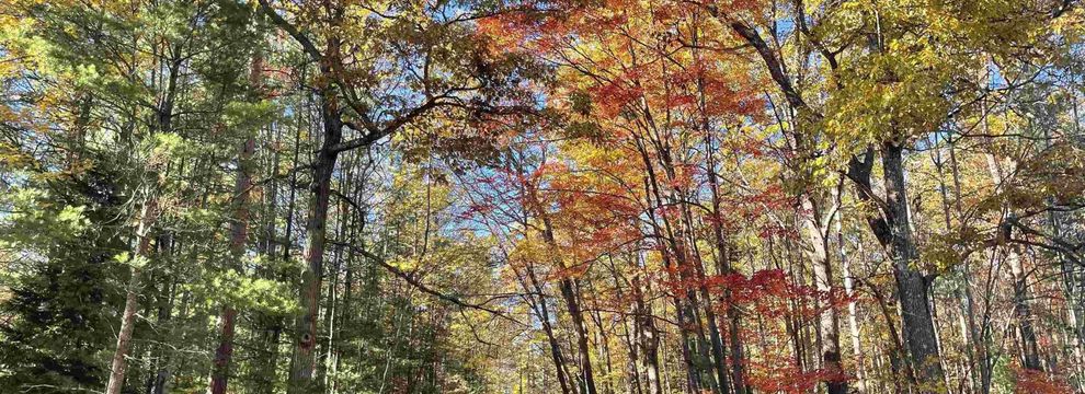 Farm Property for sale in Kalkaska County, Michigan