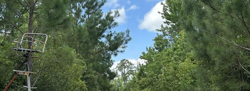 Ranch Property for sale in Pamlico County, North Carolina