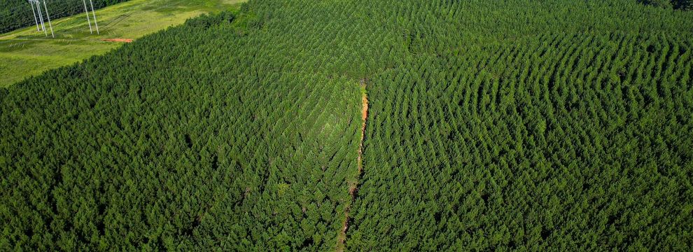 Property for sale in Jefferson County, Georgia