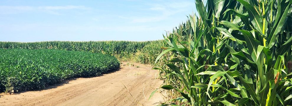 Hunting Land for sale in Coahoma County, Mississippi