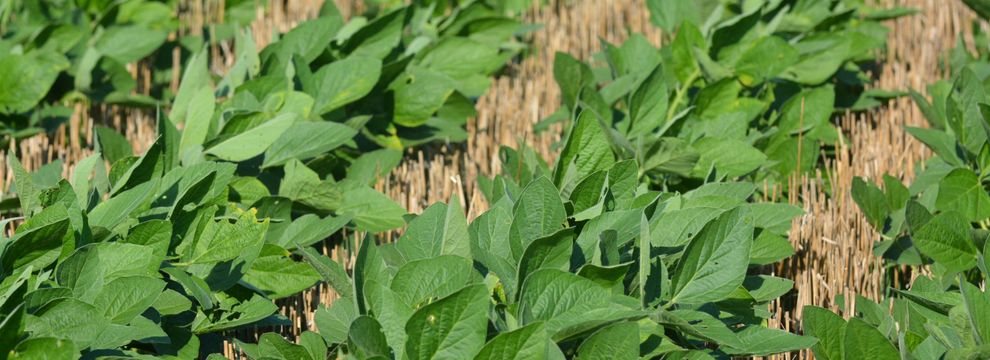 Recreational Property for sale in Osage County, Kansas