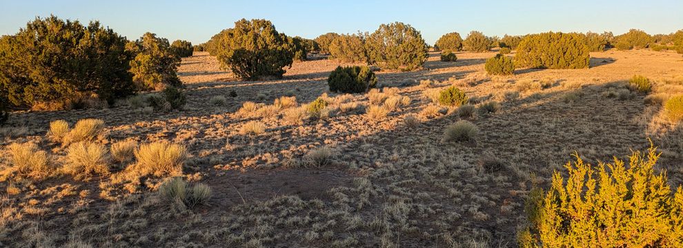 Ranch Property for sale in Apache County, Arizona