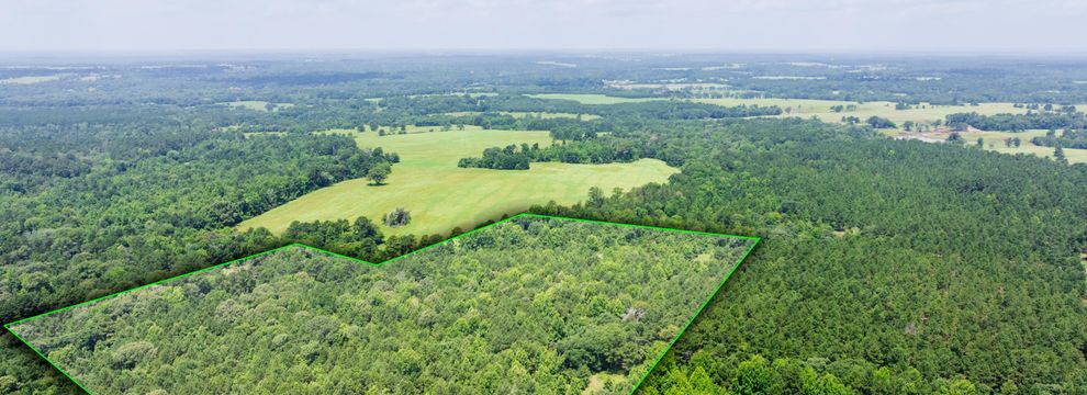 Residential Property for sale in Houston County, Texas
