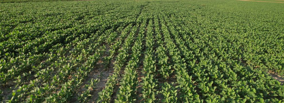 Farm Property for sale in Pope County, Illinois