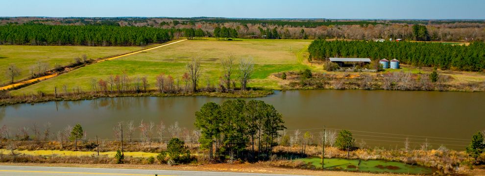 Undeveloped Land for sale in Dodge County, Georgia