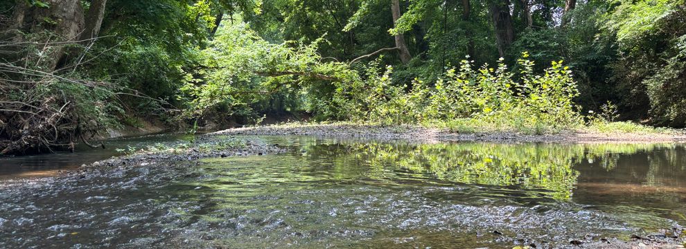 Undeveloped Land for sale in Cabarrus County, North Carolina