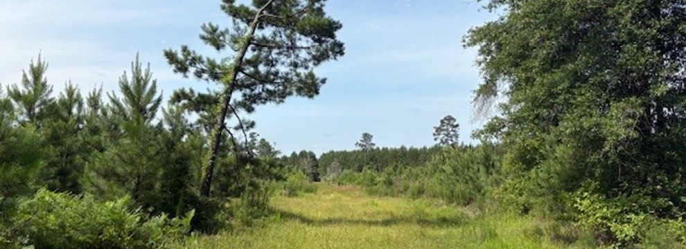 Recreational Property for sale in Jasper County, Texas