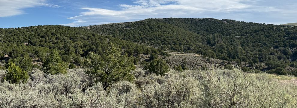Ranch Property for sale in Costilla County, Colorado