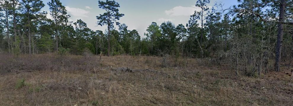 Undeveloped Land for sale in Putnam County, Florida