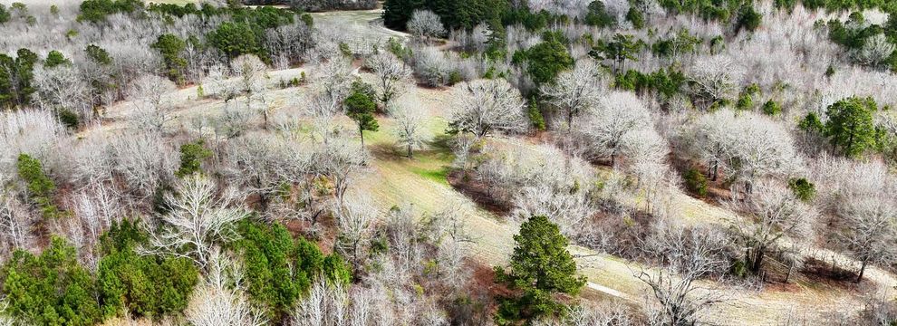 Recreational Property for sale in Clarendon County, South Carolina