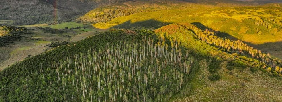 Ranch Property for sale in Gunnison County, Colorado