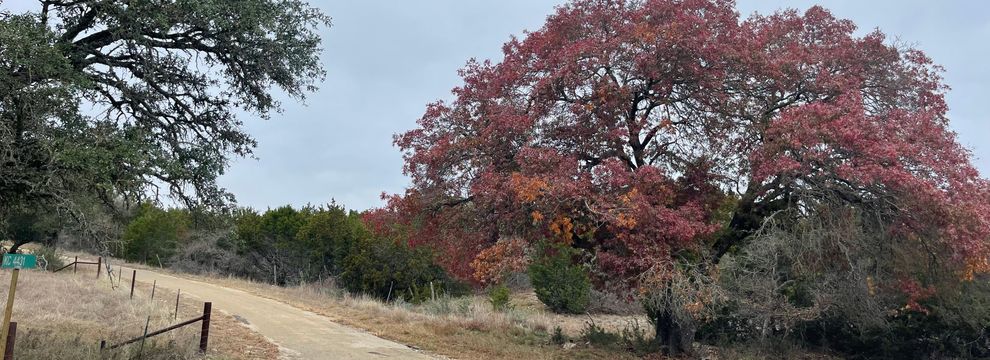 Farm Property for sale in Kimble County, Texas