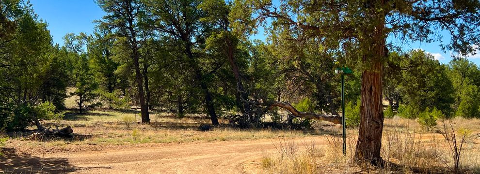 Farm Property for sale in Cibola County, New Mexico