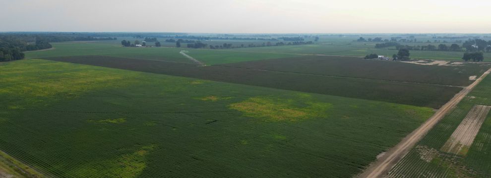 Farm Property for sale in Dunklin County, Missouri