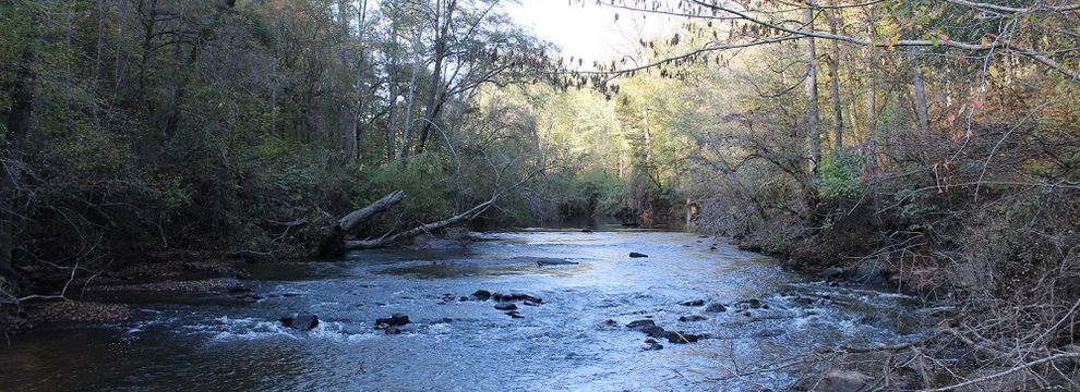 Recreational Property for sale in Upson County, Georgia