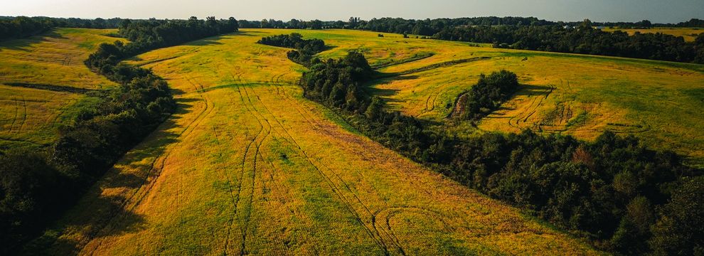 Property for sale in Pope County, Illinois