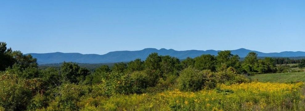 Property for sale in Greene County, New York