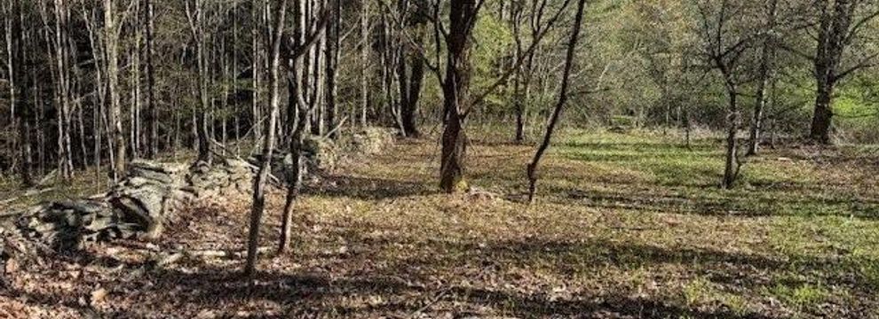 Property for sale in Broome County, New York