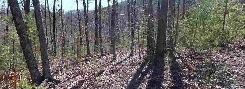 Property for sale in Cocke County, Tennessee