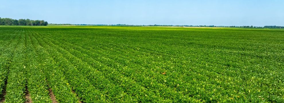 Recreational Property for sale in Lawrence County, Arkansas