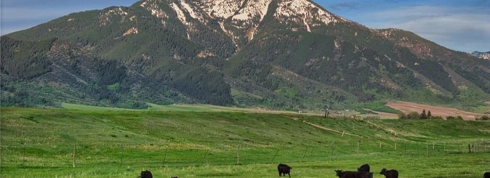 Undeveloped Land for sale in Bonneville County, Idaho