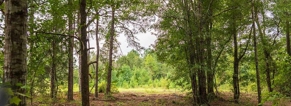 Property for sale in Henry County, Alabama