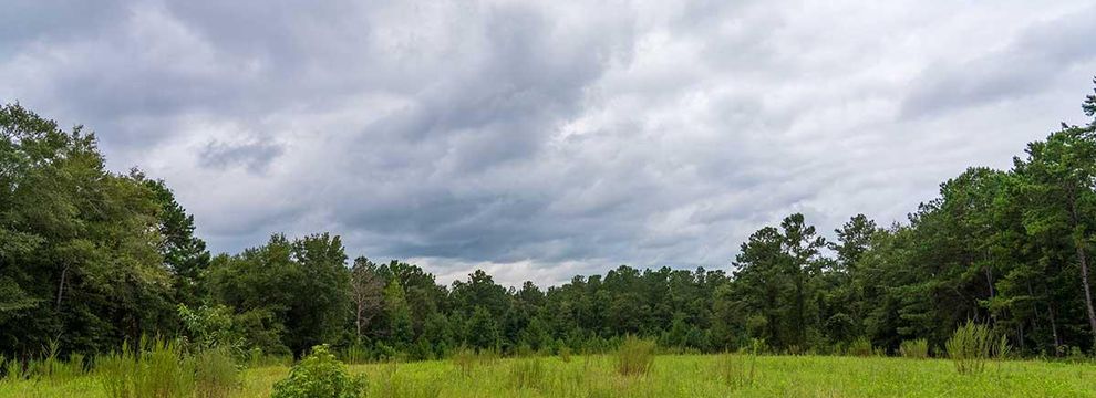 Property for sale in Henry County, Alabama