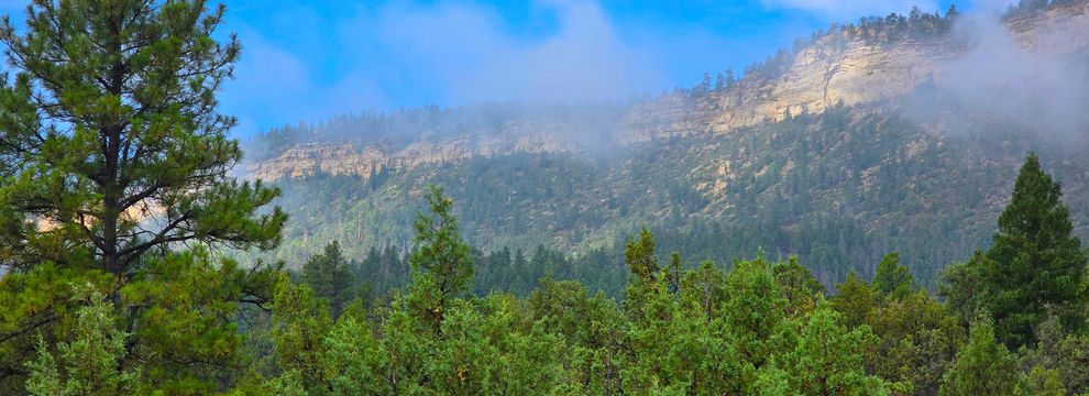 Farm Property for sale in Rio Arriba County, New Mexico